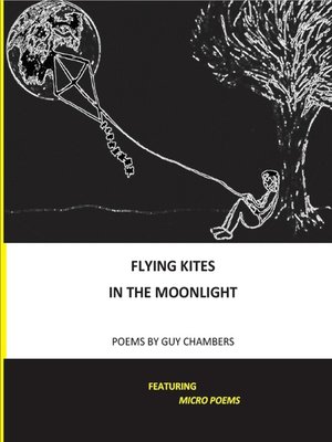 cover image of Flying Kites in the Moonlight